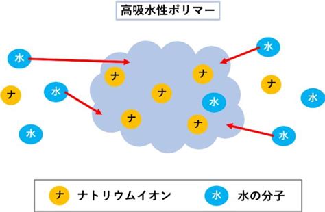 吸水|高吸水性高分子の構造、吸水機構、用途について